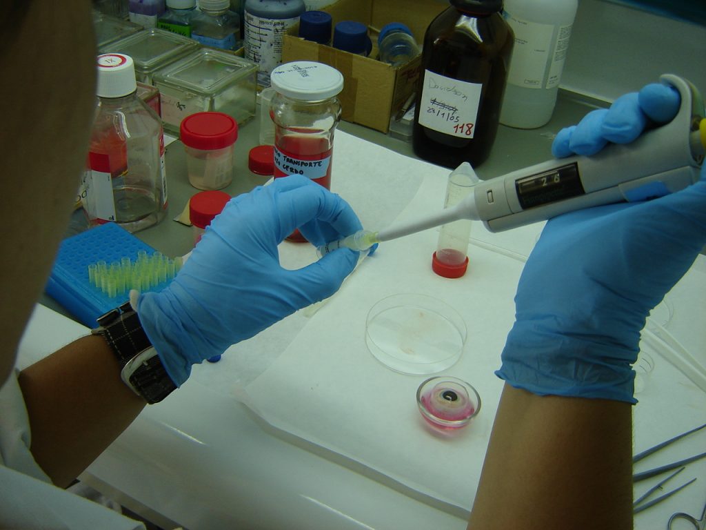 Una investigadora del IOBA pipetea en uno de los laboratorios de investigación del instituto