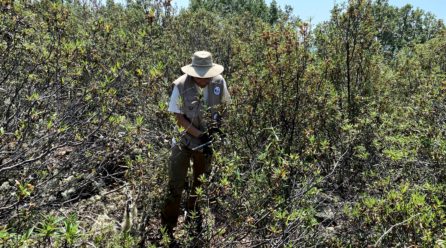 Una gestión más intensa en los bosques ayuda a preservar su riqueza forestal