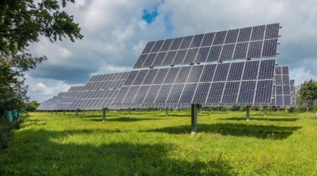 El nuevo modelo energético solar generará cambios de uso de suelo en los próximos 30 años