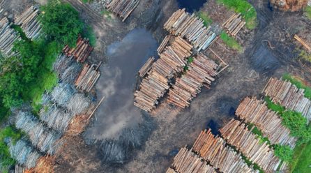 El éxito de la restauración ecológica pasa por una correcta evaluación de las acciones puestas en marcha