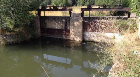 Las cooperativas de energías renovables crecen a pesar de las barreras burocráticas en España