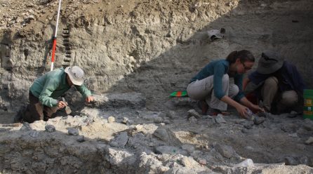 Una nueva metodología amplía el conocimiento sobre herramientas creadas hace 1,7 millones de años