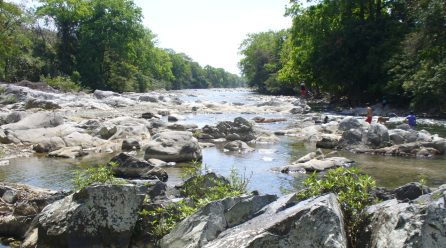 La Universidad de Valladolid estudia los caudales ecológicos de ríos iberoamericanos