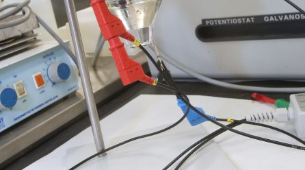 Un nuevo sensor electroquímico analiza en la piel de la uva el momento óptimo de la vendimia