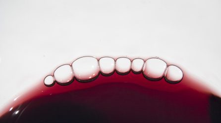 Un microondas experimental rescata el pigmento rojizo del vino tinto en las lías