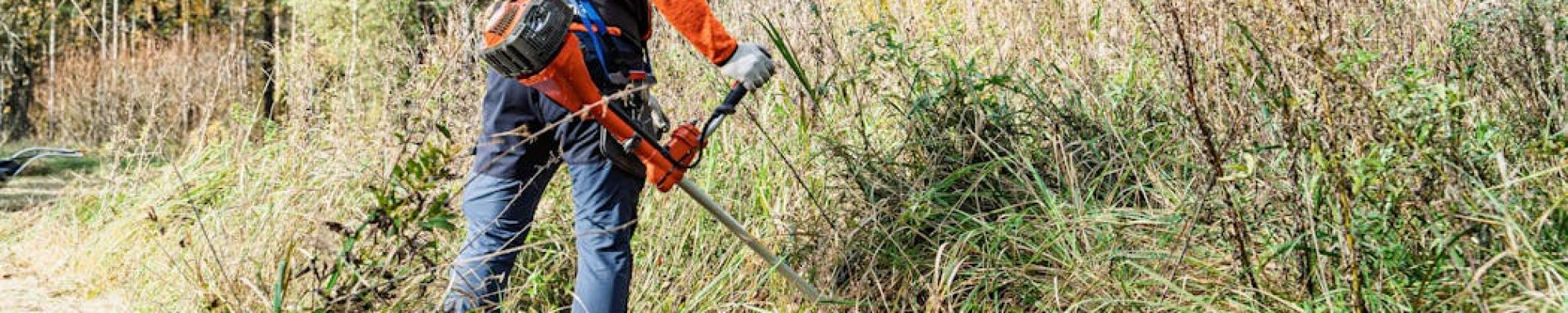 El problema no es que no se pueda ‘limpiar’ el monte para prevenir incendios, es que cuesta mucho dinero